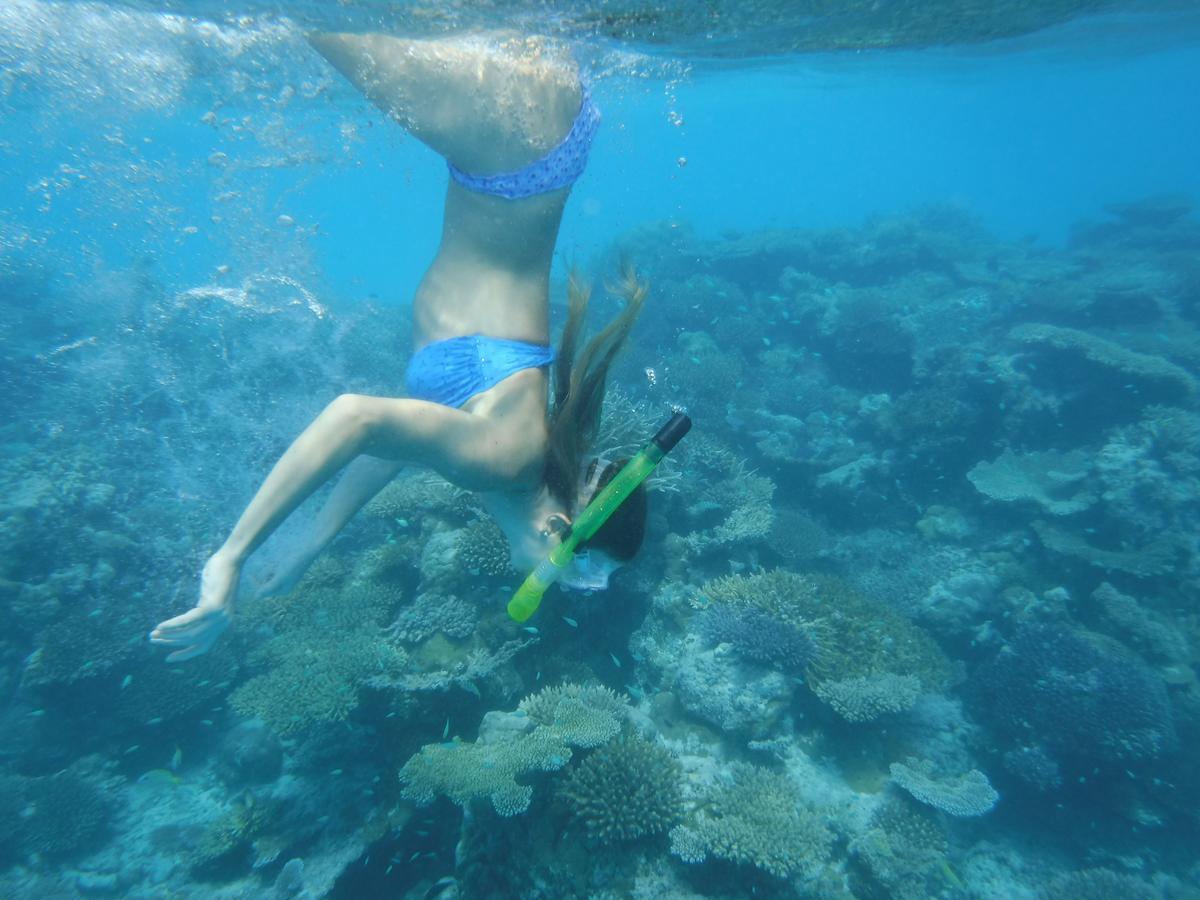 Surf Trip Maldives Hotel Thulusdhoo Luaran gambar
